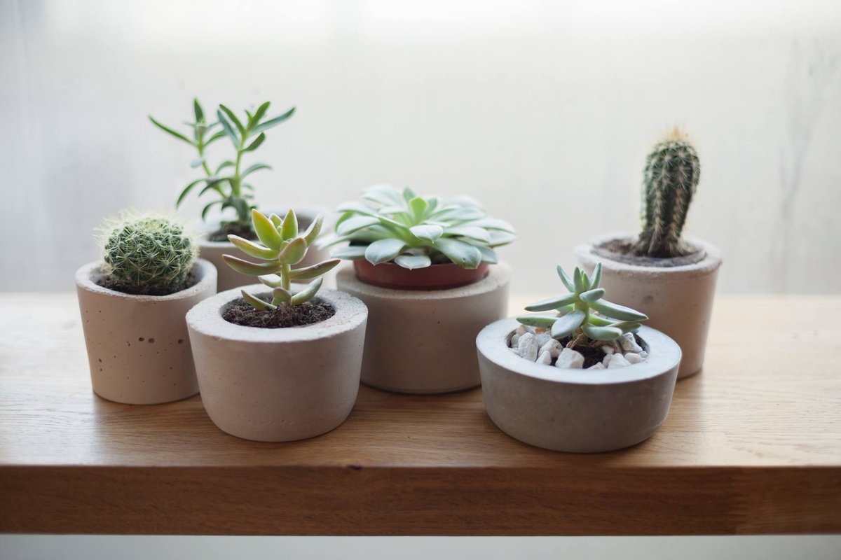 Still some cement planters left <a href="/theGRANDHOWL/">the GRAND HOWL</a> on Well St, Hackney. Nice Christmas gift &amp; money raised goes to @TrussellTrust :-)