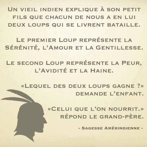 ValerieAsselot's tweet photo. #coaching : et vous qui sont vos loups ? Lequel nourrirez vous aujourd'hui ? @VirginieKillian @SolenneBLG @JeanC_Prevost @annechamgor https://t.co/dh3n0aYOzX
