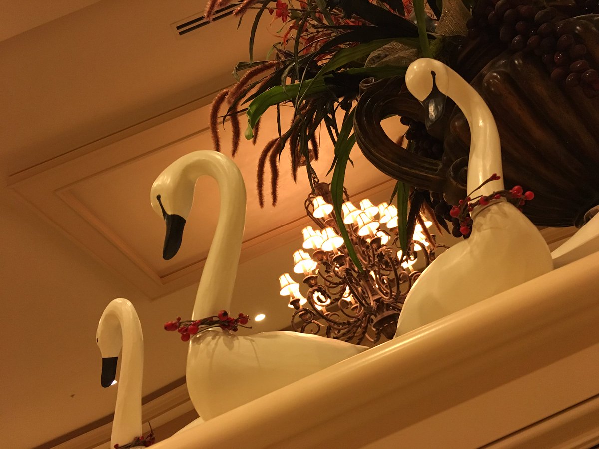 BentleysGrill's tweet photo. 7 Swans a-Swimming...9 Ladies Dancing...12 Drummers Drumming- it must be #Christmas at @GrandHotelSalem! https://t.co/LiUPiY0psg https://t.co/TW8LTm63Y2