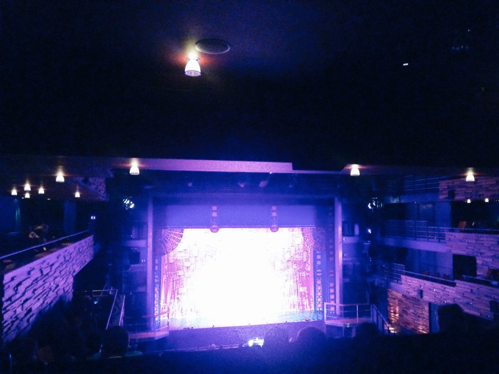 TheWaterside1's tweet photo. House lights on making our auditorium #accessfriendly as customers enjoy our #relaxedperformance of #Aladdin https://t.co/mJbzUo9ET0