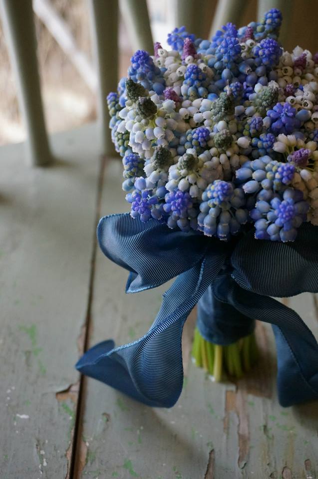 Lots of sweet blue muscari on the blog today...botanicalbrouhaha.com/?p=18244 (Bouquet: fleurs-tremolo.com)