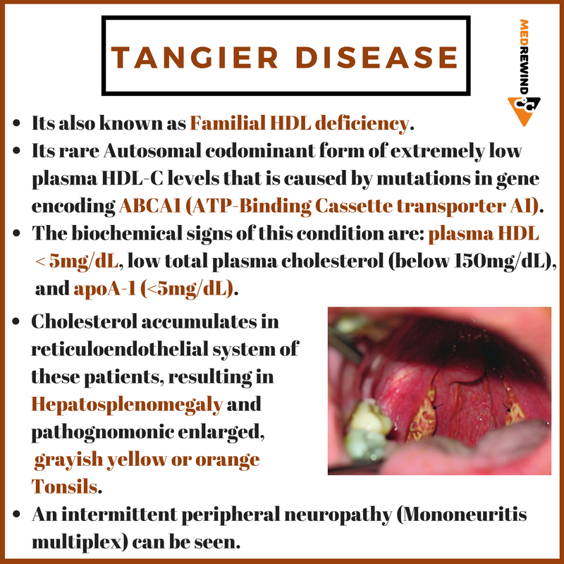 book viral hemorrhagic fevers