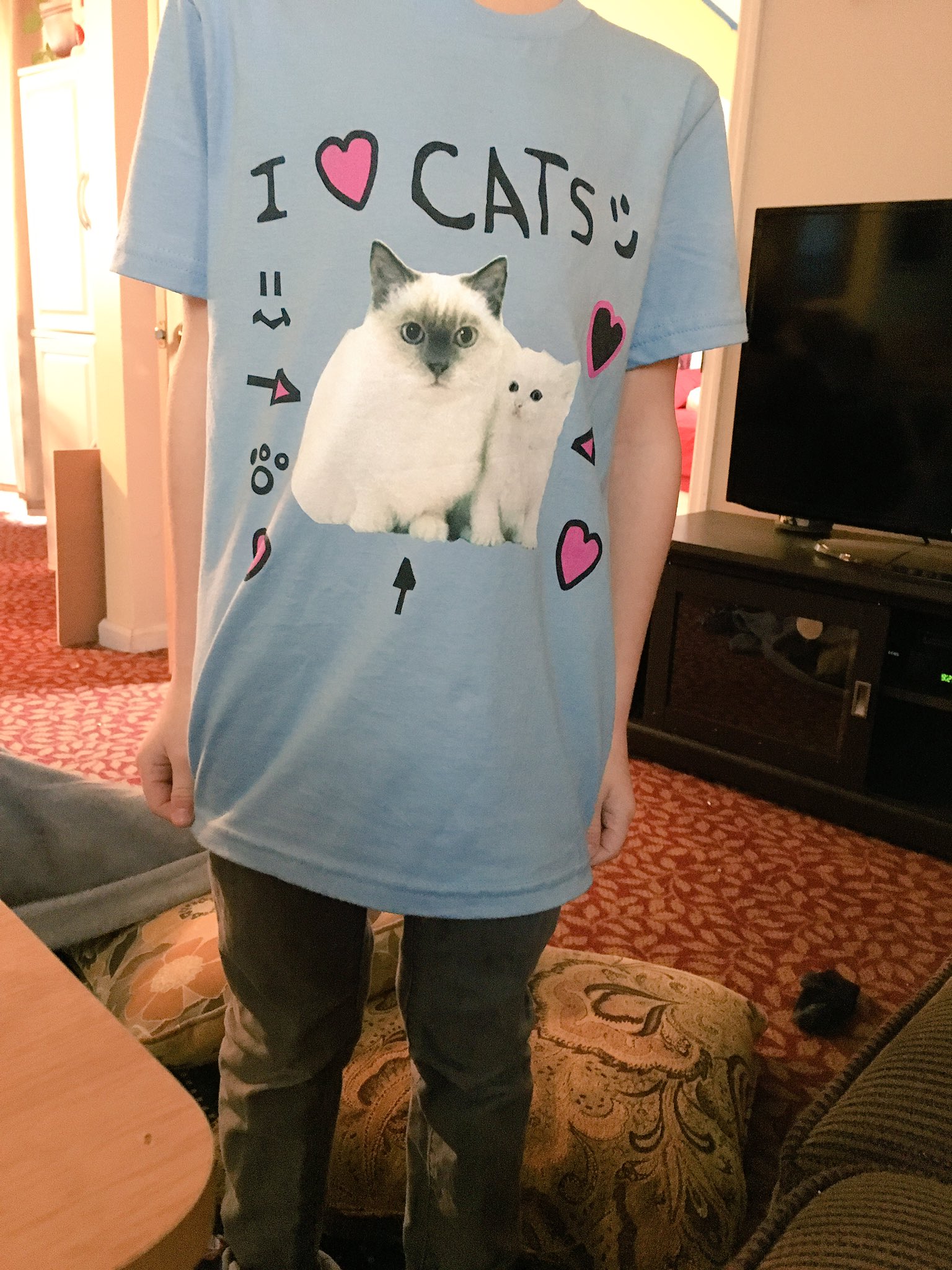 Denisdaily i top love cats shirt