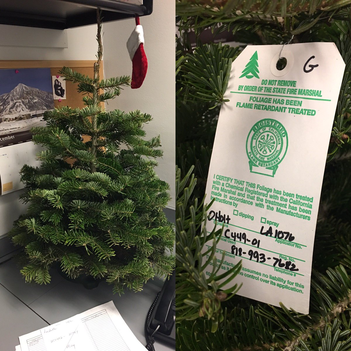Holiday fire safety tip. Make sure all live trees at commercial locations have been treated with flame retardant. Decorate safely!