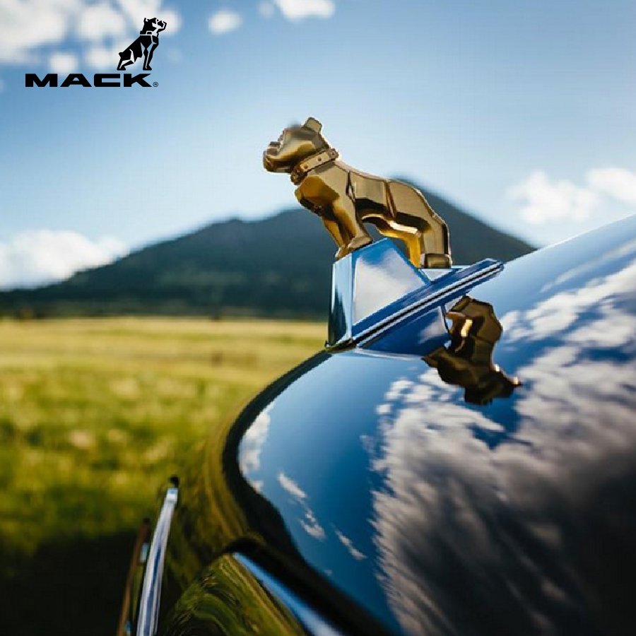 MackTrucksLATAM's tweet photo. #MiMack y yo lideramos el camino. ¡Excelente semana! https://t.co/4w0yeJzWZP