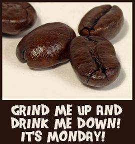 Haute Culture Coffee tweet media