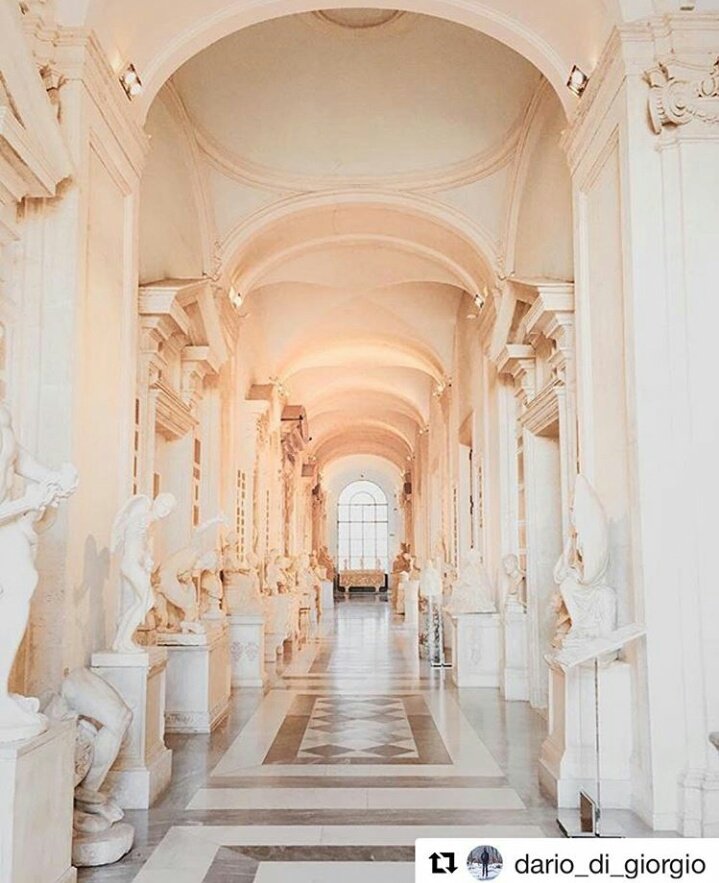 igerslazio's tweet photo. Uno dei bellissimi scatti realizzati durante #emptycapitolini. Ed è subito incanto.
#MiCRoma https://t.co/Wba8IFcRMh