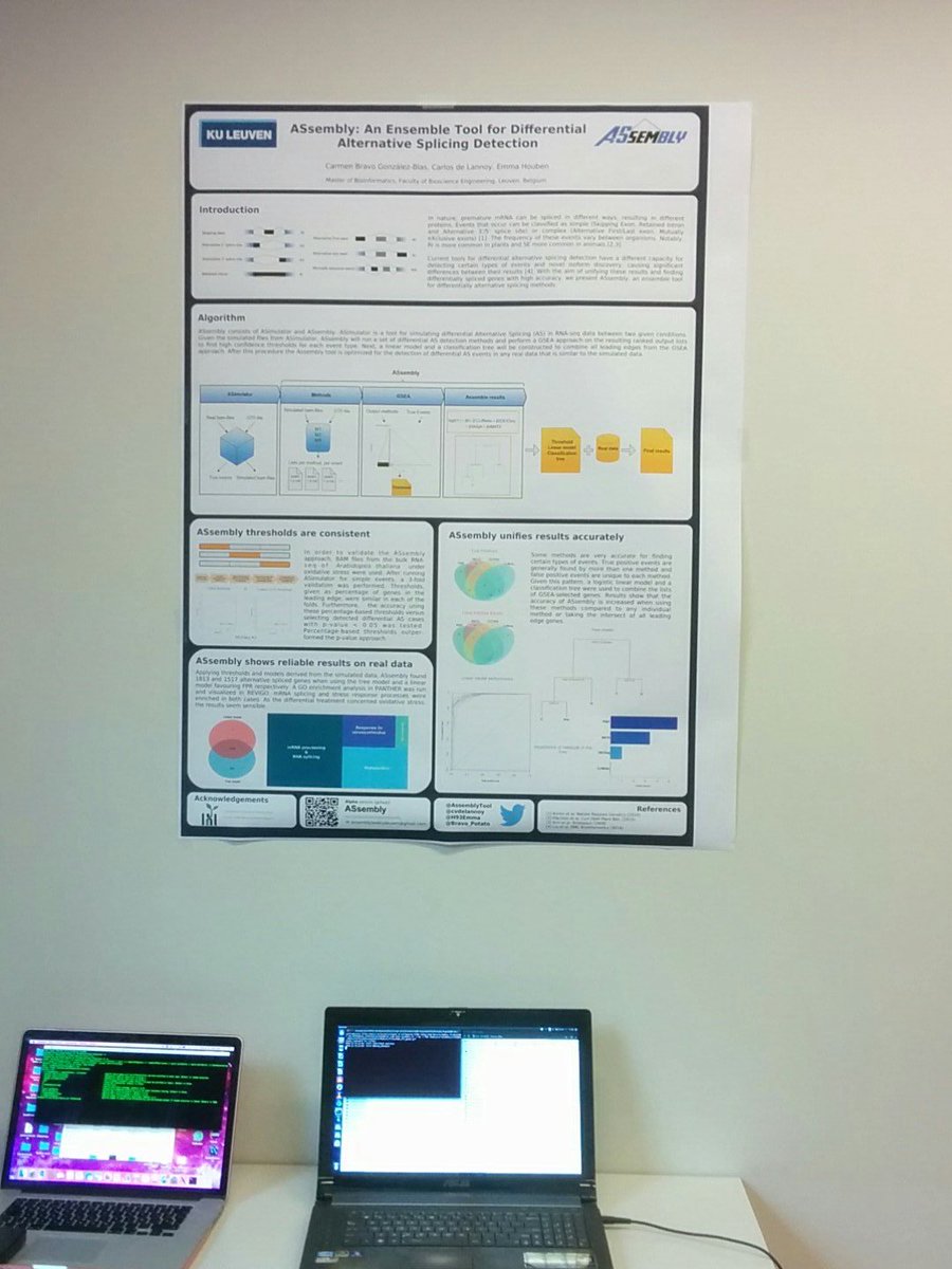 ASsemblyTool's tweet image. 