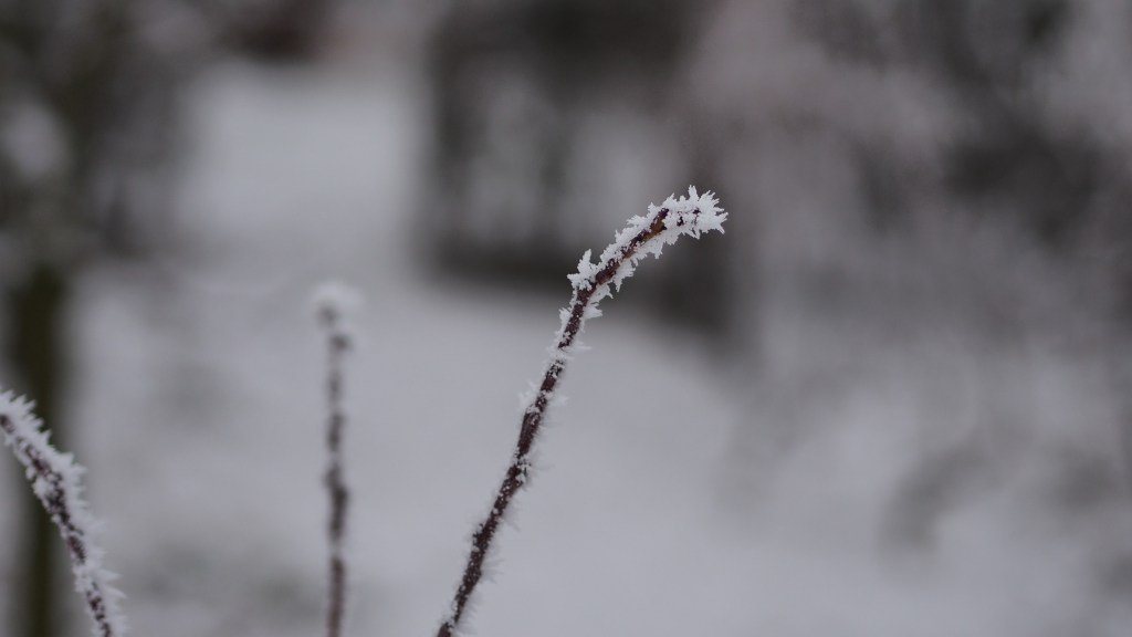 aliencoder's tweet image. Back to posting, end of 2016 cyberphoto.wordpress.com/2016/12/19/bac…