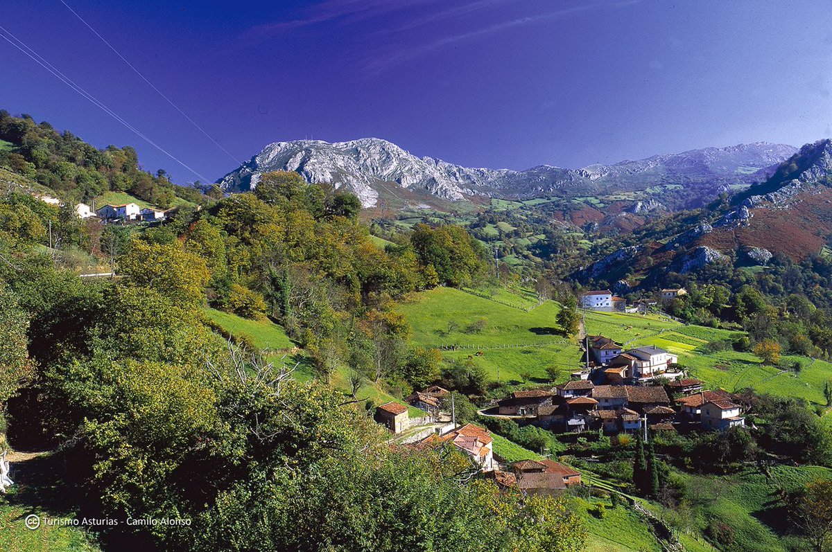 TurismoAsturias's tweet photo. Dice @pantone que "Greenery" será el color del año en 2017 así que, ya sabes, para estar a la moda.... ¡viaja a #Asturias! https://t.co/z1E7hmUzP6