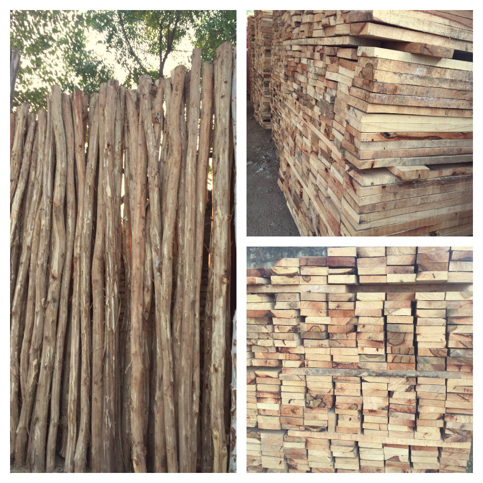 skillofuntoys's tweet photo. What a lovely natural material! #wood #nofilter #woodisamazing #skillofun #sustainableplay #skillofungoesshopping https://t.co/LMpGJ7CdbT