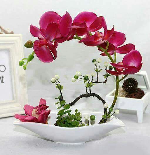 53_7446 tweet picture