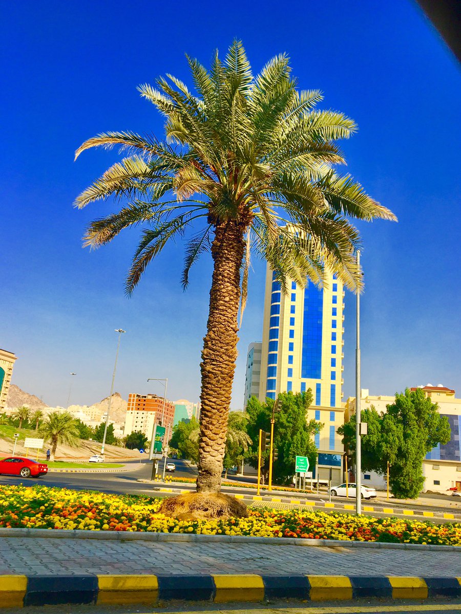 ksa_mh2002's tweet photo. #تصويري لقبلة الأرض ومهدها #مكة ولي بها شوقاً أعجز عن تبيانه .. ❤️
 #امير_مكه
 #قول_مثل_شعبي
 #زد_رصيدك65 https://t.co/NBN5HRU2fi