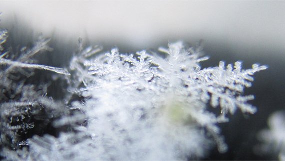 Ilmastotieto's tweet photo. Uudet Suomea koskevat ilmastonmuutosennusteet julkaistu https://t.co/0gXKLLloZD https://t.co/zzv8bPIrDE