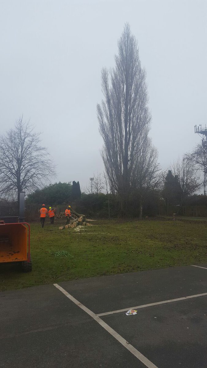 GC_Arb's tweet image. Line of sight clearance? Not a problem. Our #Telecoms team are helping to improve #mobilereception in Borehamwood today. #signal #mobile