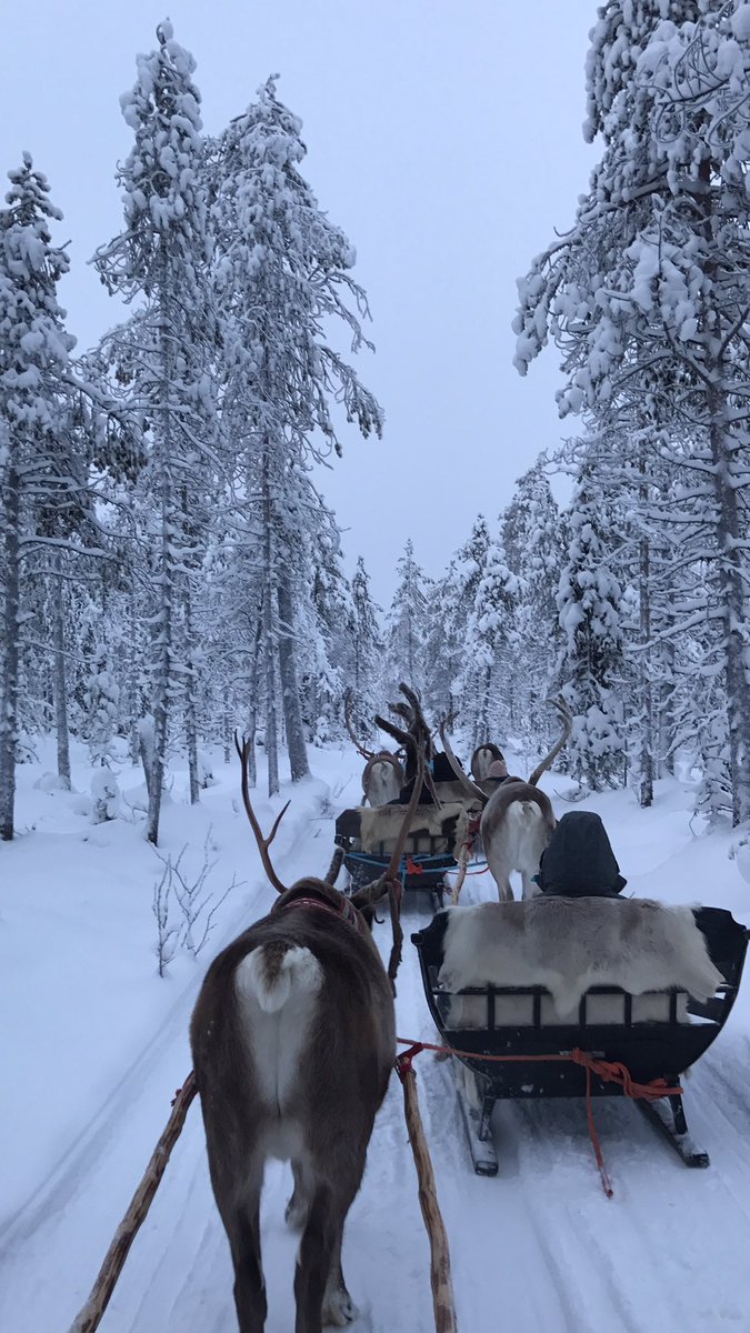 _smasterson's tweet photo. Magical moments in Lapland. https://t.co/Baf0Ietqp1