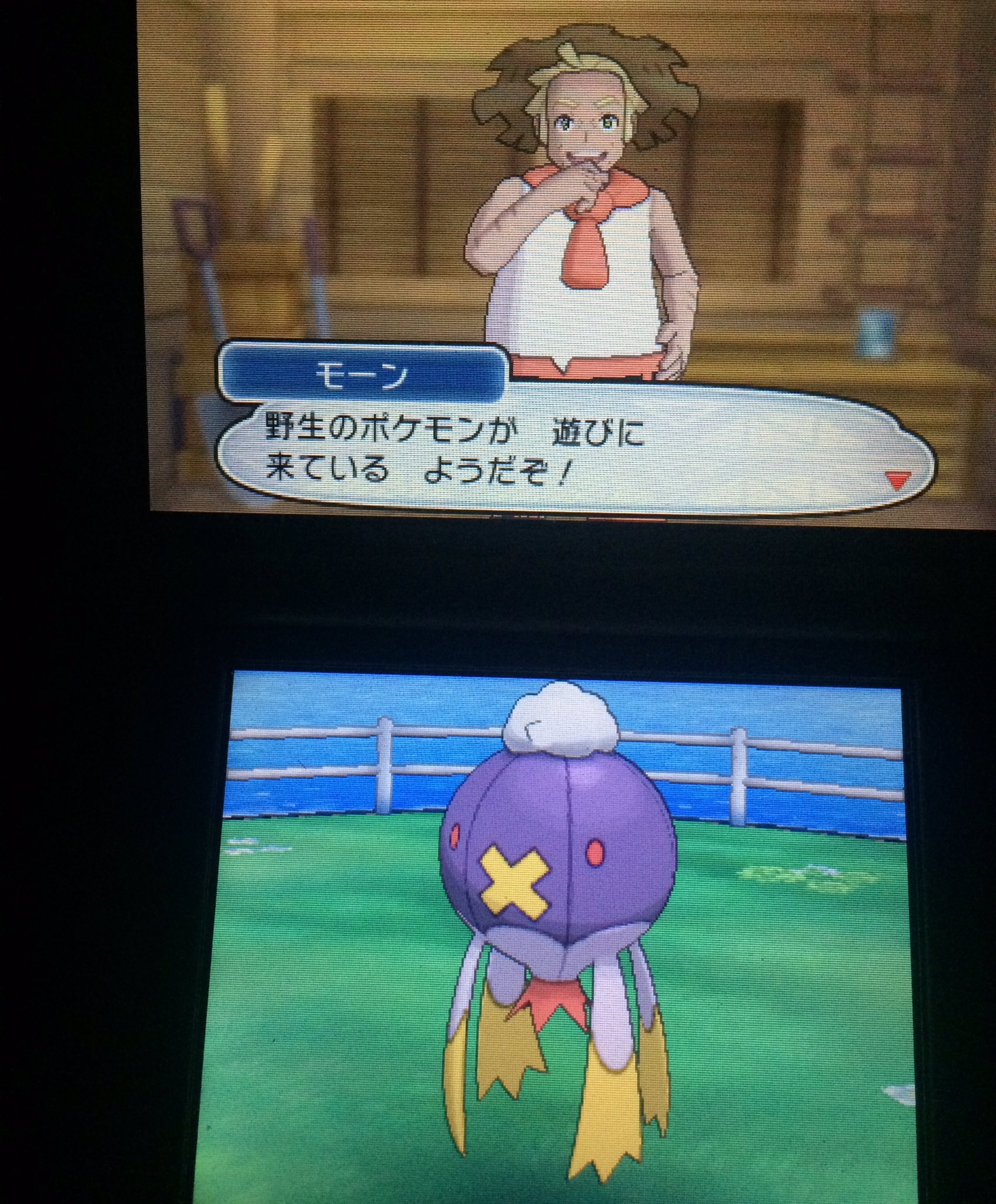 海月ちい クラチー Twitterren 薄々察していたからアレなんだけど 何でサンムーン リボンが仲良し系とバトル制覇系だけになっちゃったん コンテストは無理でも 曜日リボンとか高額購入リボンとかはあって欲しかったなぁ だって リボンの数