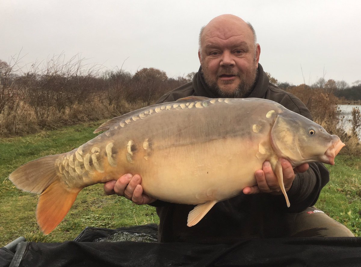 EarlsHallFish's tweet photo. A selection of fish landed over the last week on the top lake in these mild conditions. @CW_Baits V12 boilies 🎄☃️🎁 https://t.co/v5Y6uTGSkc