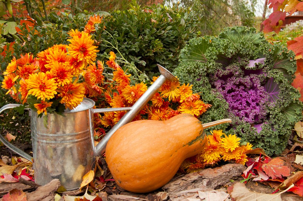 Cinzia88299551's tweet photo. #amo il giardinaggio ancor di più da quando lo faccio con @posadisi – prova anche tu! https://t.co/Bg05I84mh4 https://t.co/GECjlhlwyU