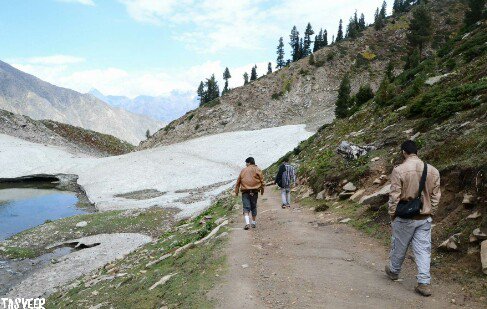 kashifaminn's tweet photo. Journey to the top of the World
#JourneyNotDestination #Squad #ScenicVeiw #AlpineForest #Exploration #Mountains #Hiking #LoveGB https://t.co/GJp7OGA7pX