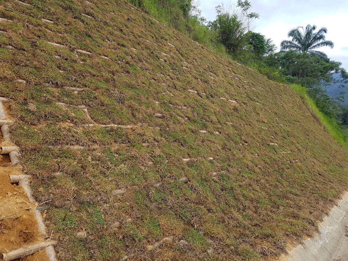 JKRDaerahBaling's tweet photo. Siap sepenuhnya-cegah cerun runtuh kaedah buluh geogrid @JKRDaerahBaling @RoslanMdTaha @saranidollah @MOWorks @SallehHasnul @bakar_samsudin https://t.co/rNPa6SnJLe