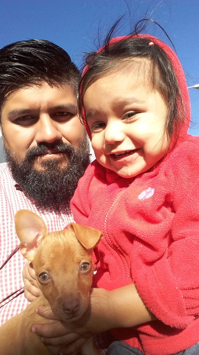 Soy_Rikc's tweet photo. #AmorPerruno #JadePrincess #Miel https://t.co/FQYUYAYcep
