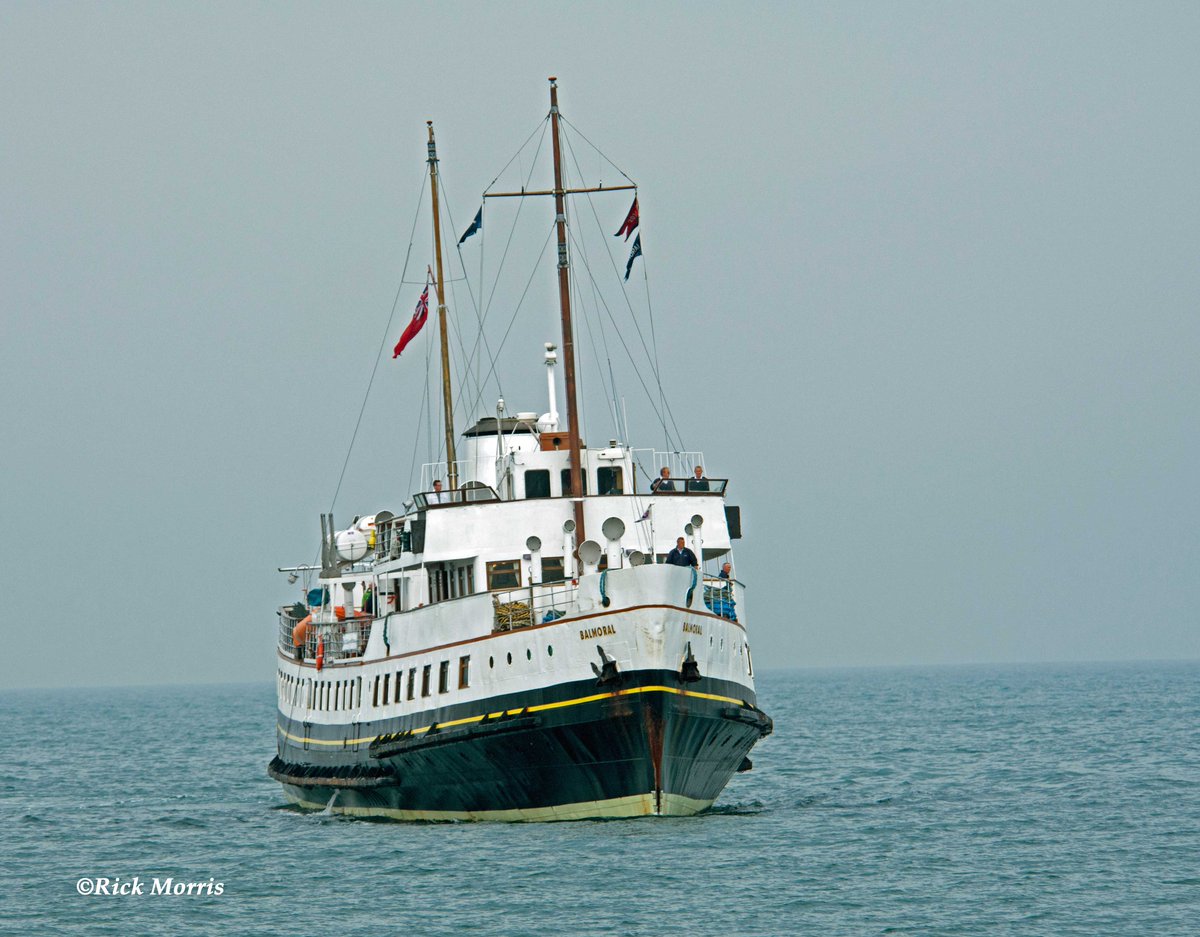 MARINElife_UK's tweet photo. Many of our volunteers work on ferrys, giving info to passengers about the marine life spotted on route #12DaysOfML https://t.co/e0Sjs6gOrs https://t.co/Fjey8K2Ild