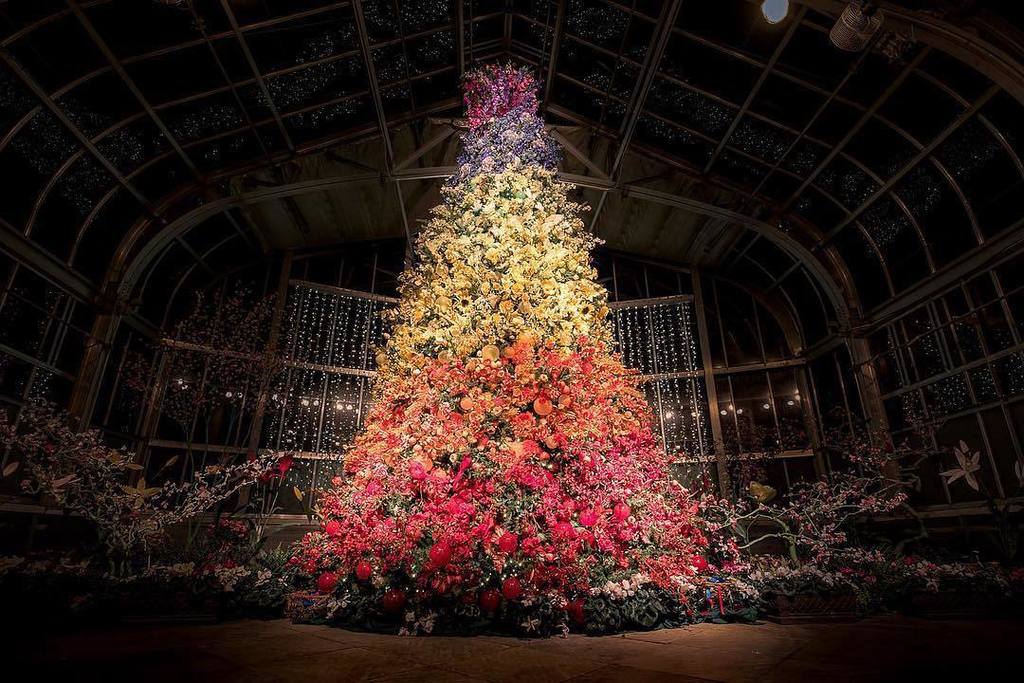 VisitRichmond's tweet photo. This stunning floral Christmas tree is just one of the magnificent sights to see at Domini… https://t.co/06e1vnWvUd https://t.co/bdzjsQTX7Q