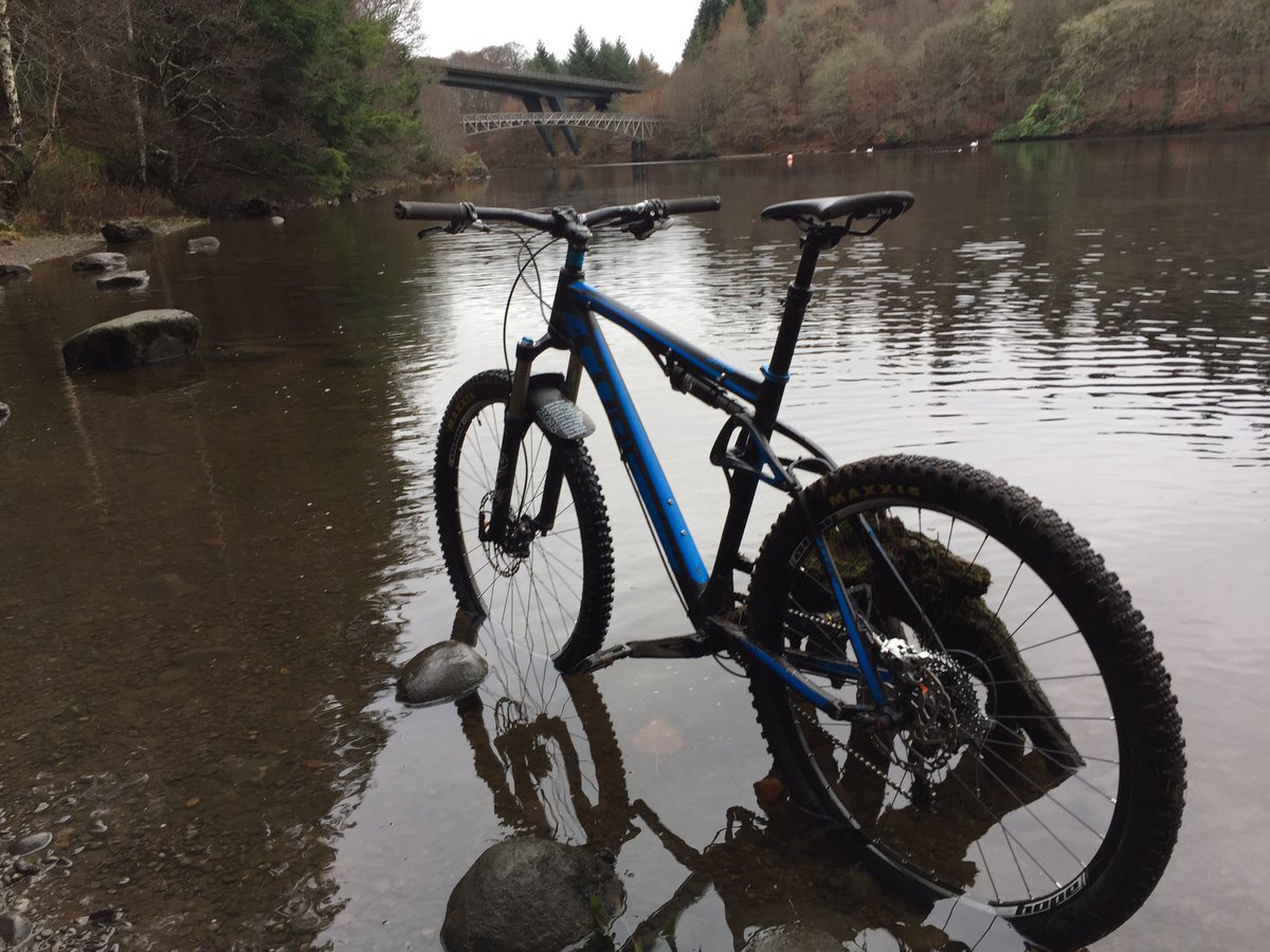 riddencc tweet picture