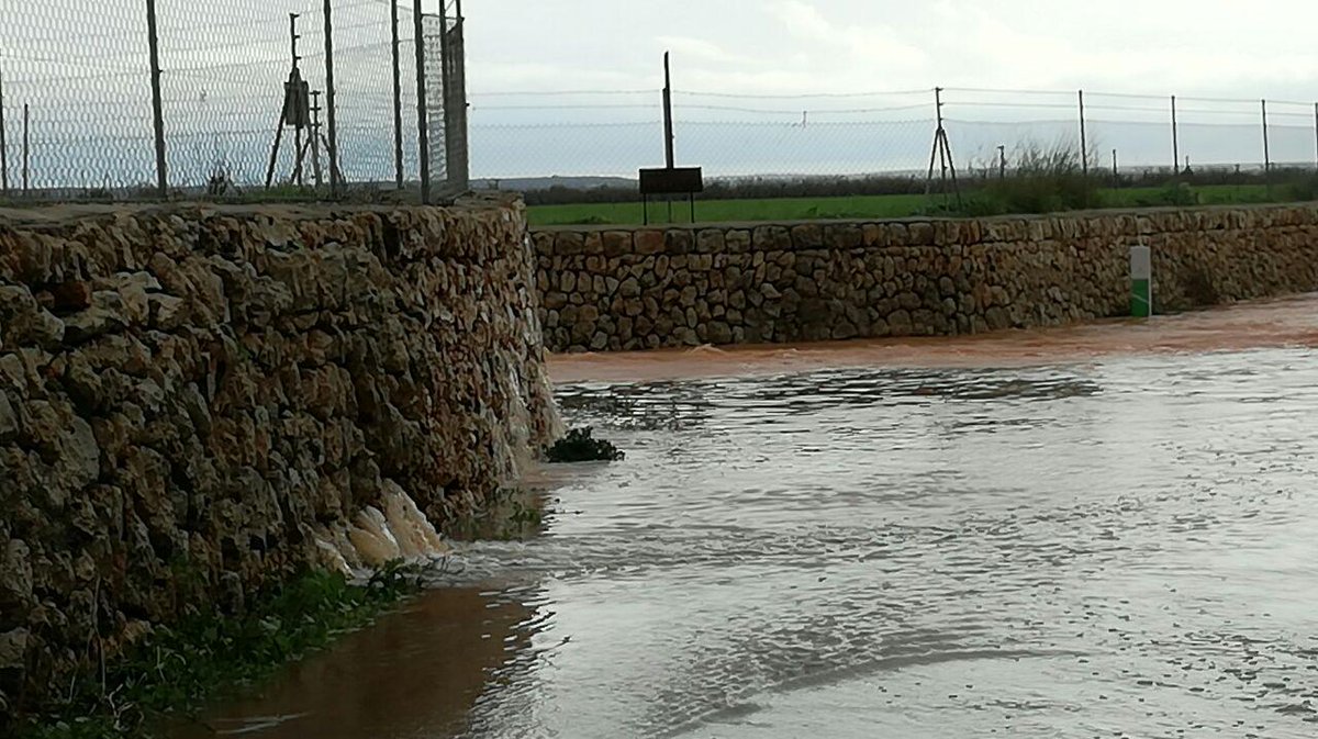 PCivilLlucmajor's tweet photo. Seguim recoreguent tot el Municipi. Moltes parets tomades, arbres e inundacions. Precaució. #Llucmajor https://t.co/3xpnzqLb4n
