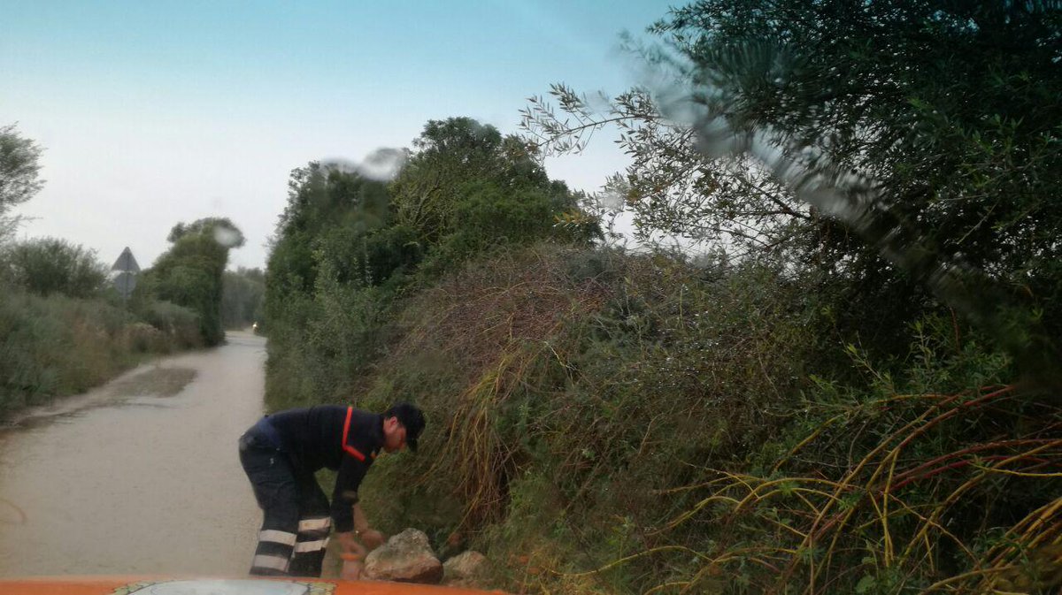 PCivilLlucmajor's tweet photo. Seguim recoreguent tot el Municipi. Moltes parets tomades, arbres e inundacions. Precaució. #Llucmajor https://t.co/3xpnzqLb4n