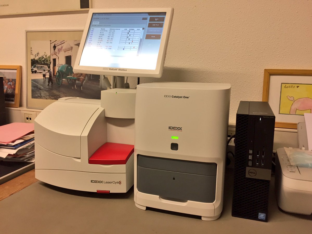 IDEXXnl's tweet photo. Sabine, Tessa en Inge van DAP Warmenhuizen zetten het eerste bloedje in op hun nieuwe #CatalystOne en #LaserCyte. https://t.co/Y35Qnz7JNB
