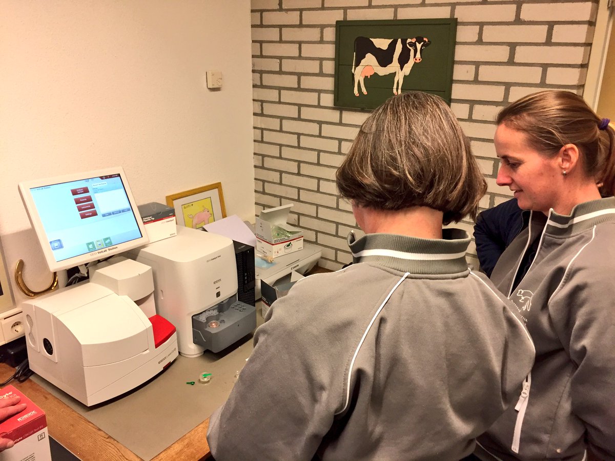 IDEXXnl's tweet photo. Sabine, Tessa en Inge van DAP Warmenhuizen zetten het eerste bloedje in op hun nieuwe #CatalystOne en #LaserCyte. https://t.co/Y35Qnz7JNB
