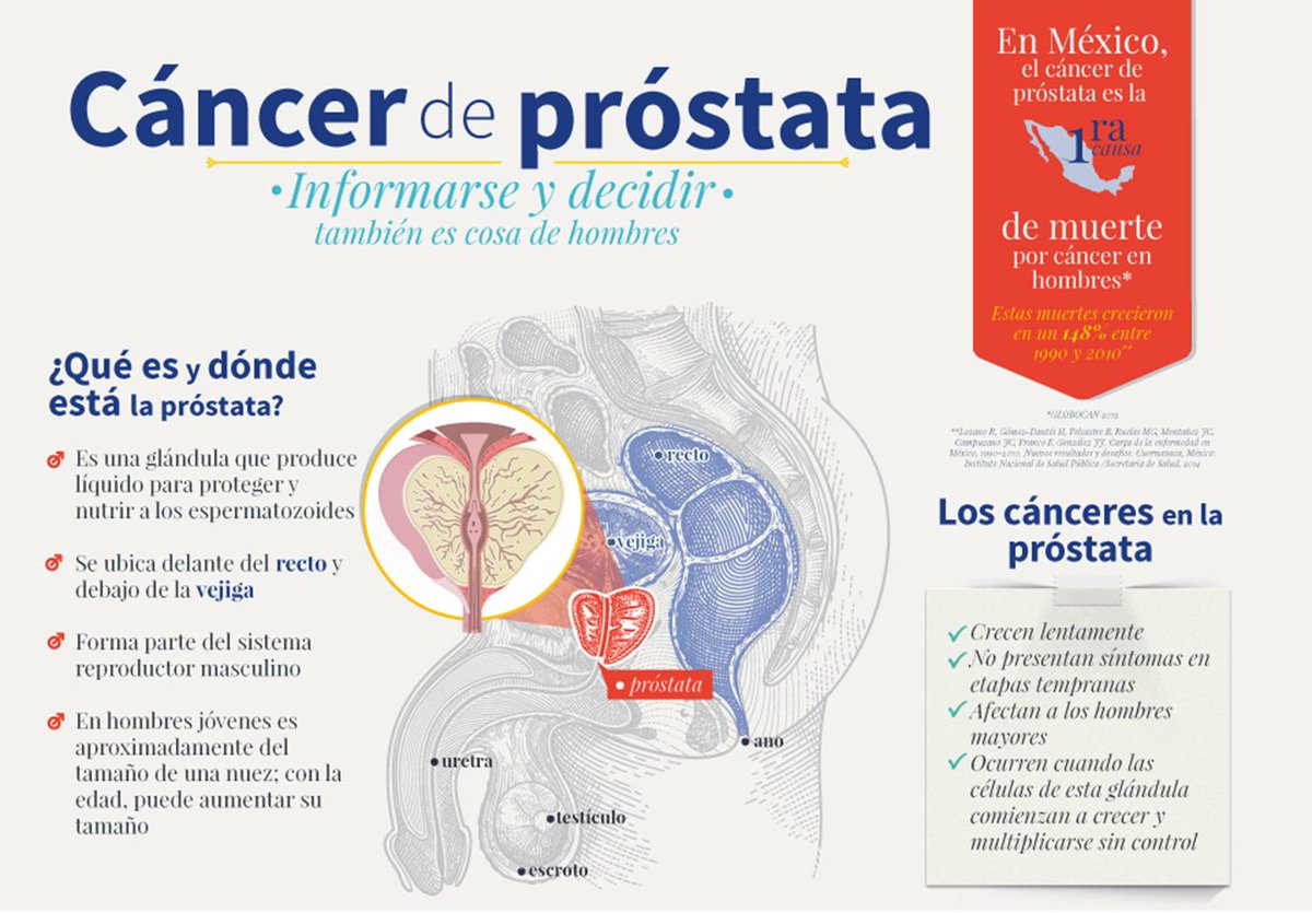 Was ist gut gegen prostata Was ist gut gegen prostata