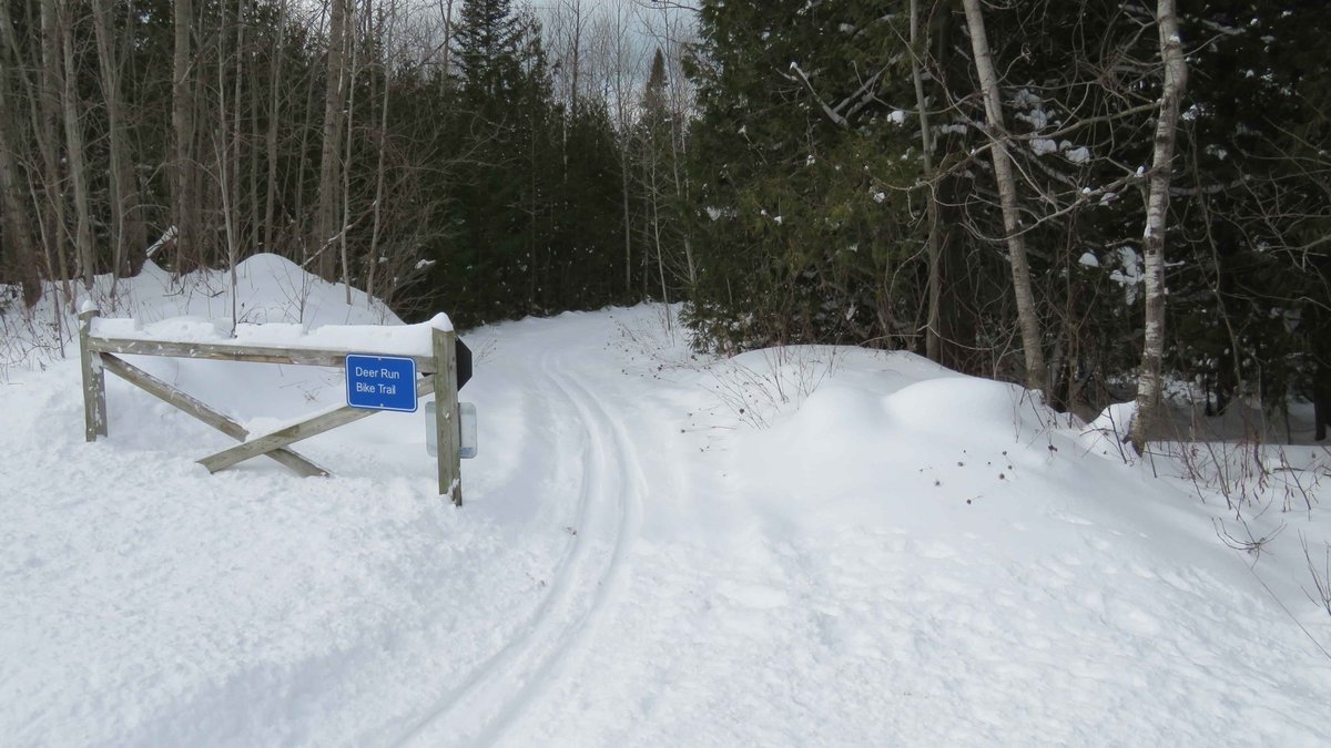 RotaryHuronShoreRun tweet media