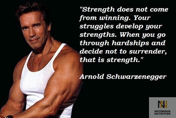 notorioussupps's tweet photo. https://t.co/5Pbr4DtBZJ