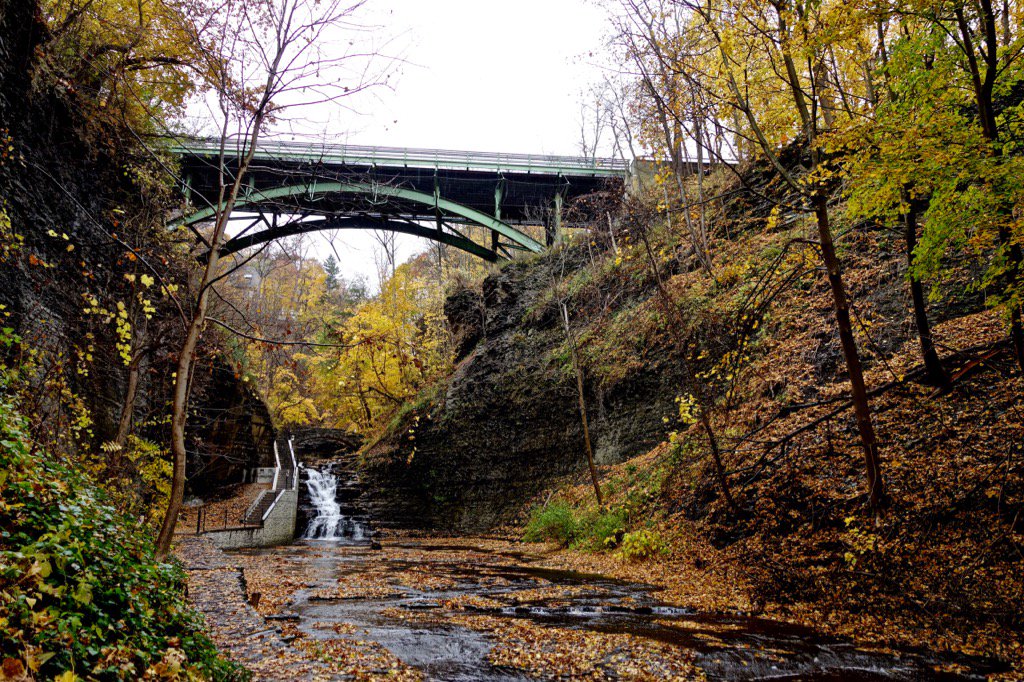 Golden falls in #Ithaca #photography #falls <a href="/downtownithaca/">Downtown Ithaca</a> <a href="/VisitIthaca/">VisitIthaca</a> #nature #landscape <a href="/American_Nature/">American Nature</a> #usa