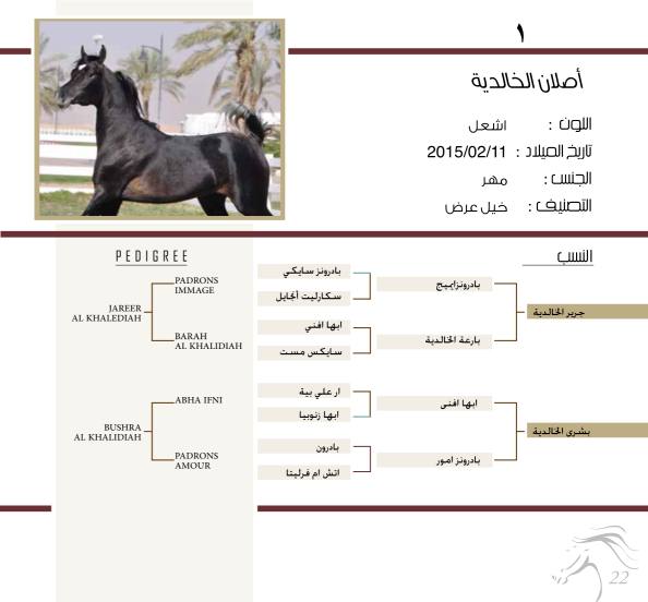أصلان الخالدية
#مزاد #الخيل #الرياض #الخالدية
