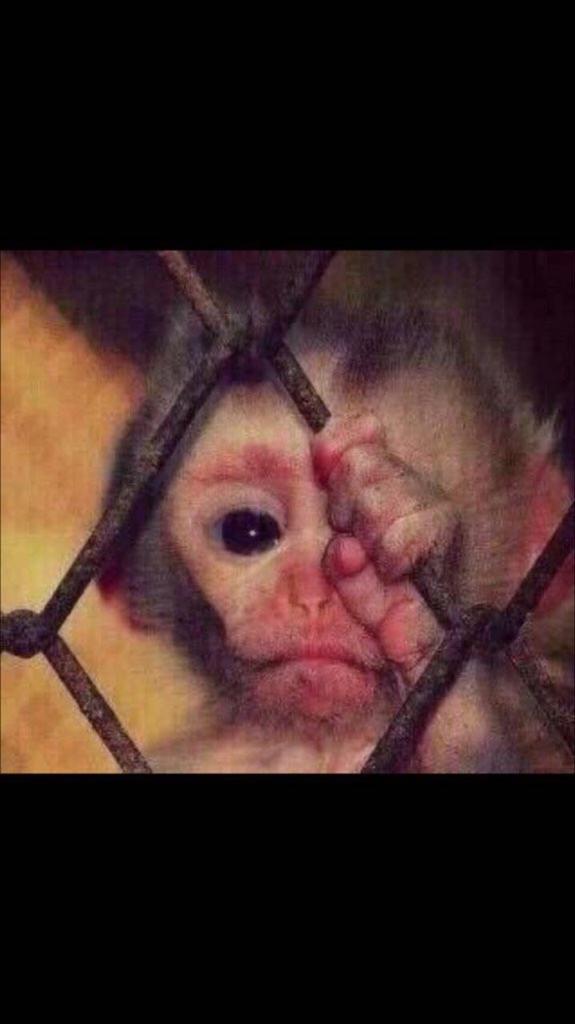 sugar1334's tweet photo. هههههههههههههههههههههه سمعني صياح ي بطل الشتاء 
 #الفيفا_يجحفل_الهلال https://t.co/HBLM0bZkzf