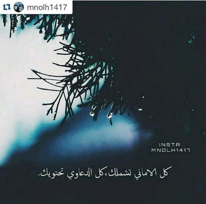 سمرونه فخامةكلهاذوق (@hanan_hg54) on Twitter photo 