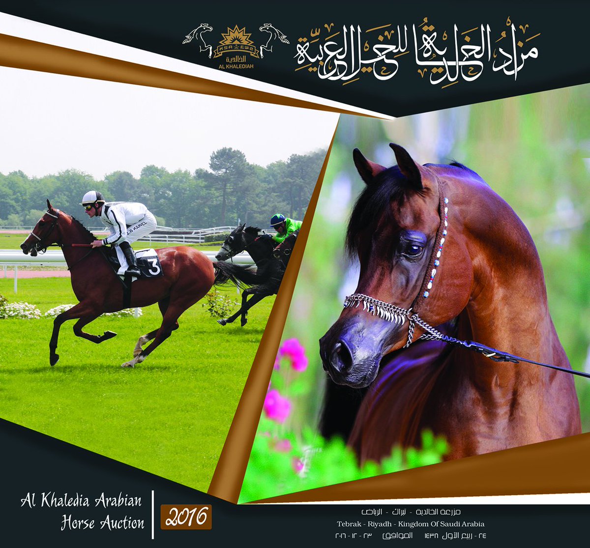 أبناء وأحفاد العالمي #طويق و #نخبة من الخيل سعودية الأصل والمنشأ
#مزاد #الخالدية  يوم الجمعه 23-12-2016 
#الخيل #الرياض #العربية #الأصيلة