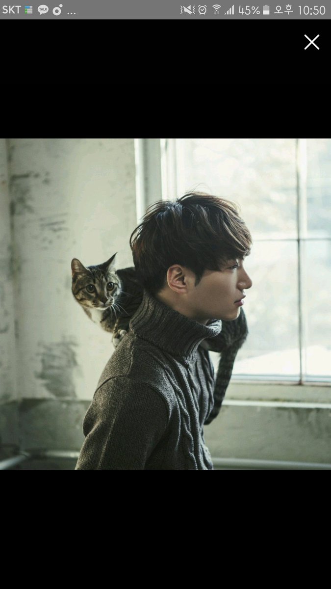 bene77 (@5ef22b7dbf4d467) on Twitter photo 