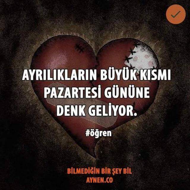 aynen_co's tweet photo. Pazartesi ayrılanları şöyle alalım... 💔
#aynen #öğren #Pazartesi https://t.co/jwjksHi76j