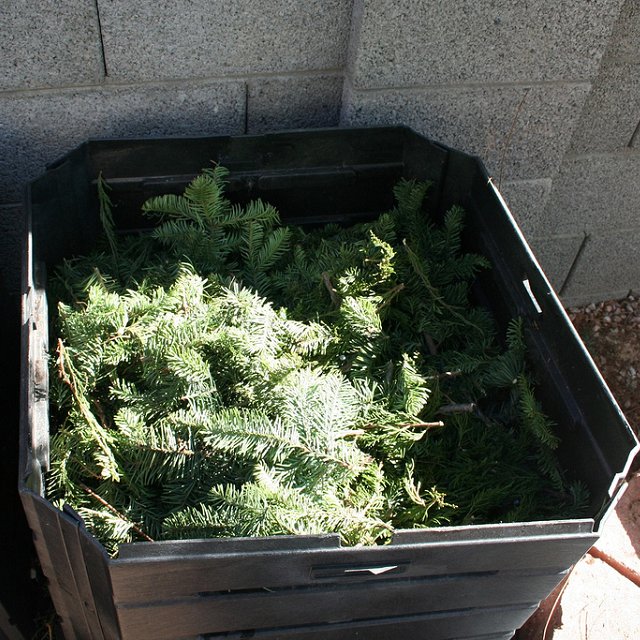 Compost_411's tweet image. #Composting the holiday debis is an excelent way to help keep your #house clean.#holidaycleaning #mondaymotivation bit.ly/2hLVtji