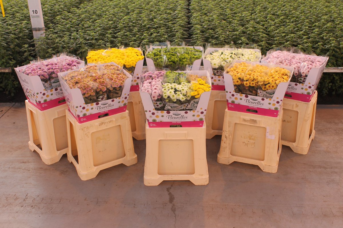 LS Santini tweet media