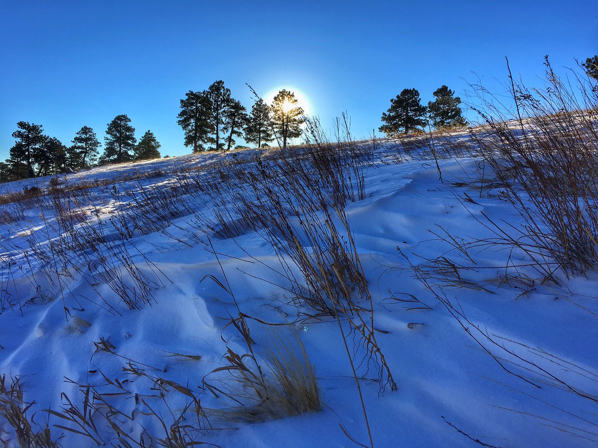 DanFMillerArt's tweet photo. Windy Sunrise #colorado https://t.co/DN2UeaFdbx