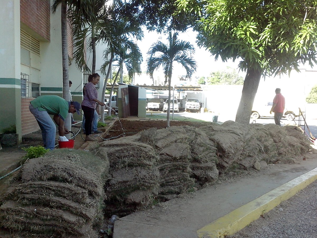 MAT_Zulia's tweet photo. #NavidadTiempoDeUnión | Hoy nuestros trabajadores forjan e impulsan la vida en la tierra y embellecen las áreas del @MinPPAPT Zulia https://t.co/OVqGSFDOeX
