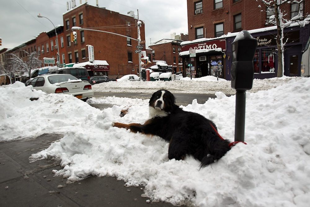 Winter Is Coming But #inspiration Never Ends, Take Your #photography Needs Indoors At The brooklyncyc.com