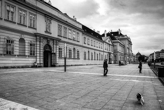 Carraol's tweet photo. Walking the dog. #quartier21 #wien #vienna #streets #dogs #museums #citydailyphoto #igers … https://t.co/KHf5BchbqV https://t.co/RZAxMg46bV