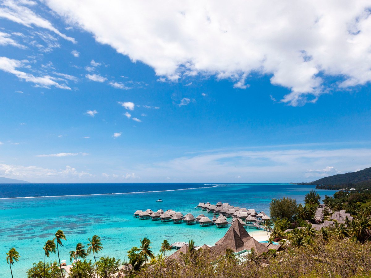 traveltripideas's tweet photo. 20 #beaches you need to visit at least once in your lifetime: https://t.co/Pb00OG1tti https://t.co/2ojSWZUFLK
#traveltips